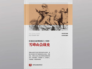 雪峰山会战史